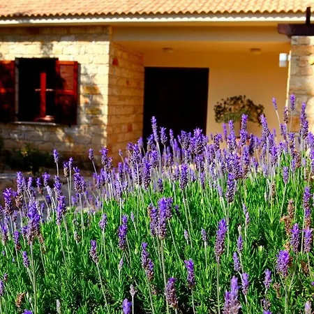 Villa Aphrodite Hills Superior Superior 0066 Air Conditioning 3 Bedrooms Paphos