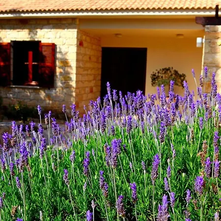 Aphrodite Hills Superior Superior 0066 Air Conditioning 3 Bedrooms Villa Pafos
